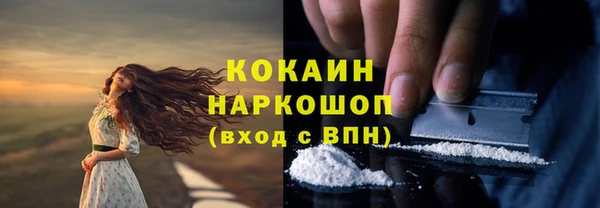 mdpv Козловка