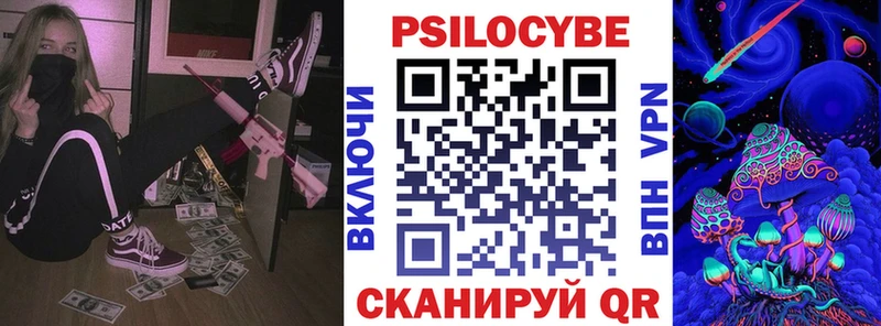Купить закладки  Приморск  Галлюциногенные грибы Cubensis 